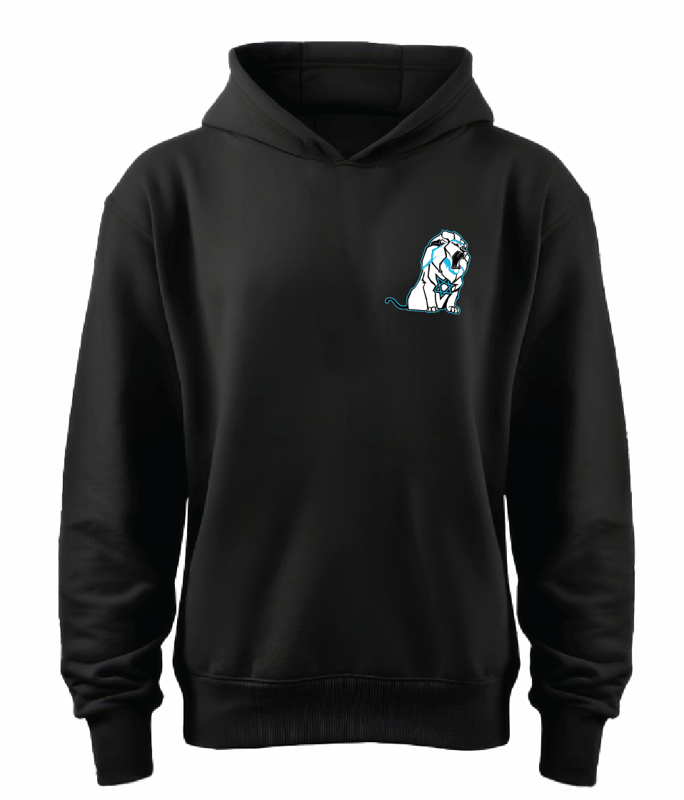 Israeli Star Lion Hoodie